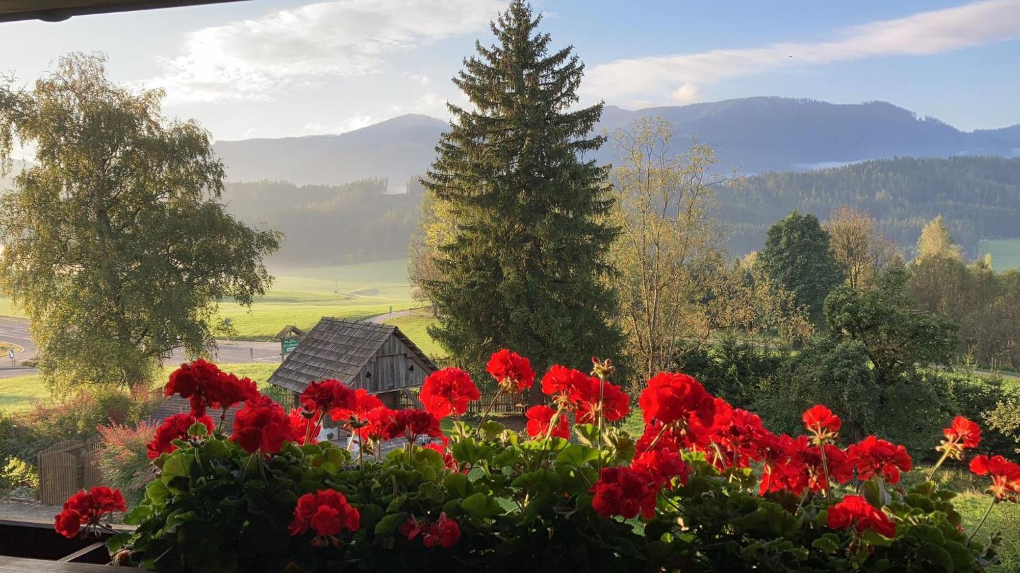 Ferienwohnungen Hotel Garni Doerflerwirt Aflenz Kurort Exteriér fotografie